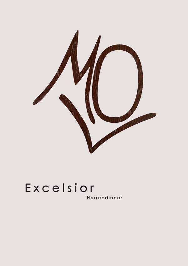 excelsior prospekt für web _Seite_1